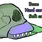 skarkmanskull2